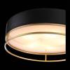 Потолочный светильник ST Luce Chodo SL1127.432.05 фото 2