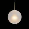 Подвесной светильник Loft IT Bolle 2030-P1 фото 3
