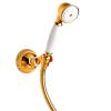 Душевой гарнитур Paini Liberty 17OP131 золотой