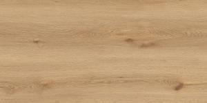 Керамогранит Global Tile Вуди GT5010026902MCR Бежевый 50x100
