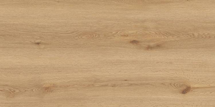 Керамогранит Global Tile Вуди GT5010026902MCR Бежевый 50x100