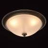 Потолочный светильник MW-Light Ариадна 450015503 фото 4