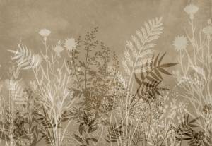 3D Фотообои Artegrafico «Светлая композиция из полевых трав» HRB-039 песок