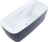 Акриловая ванна Aquanet Family Fine 170x78 95778 Gloss Finish (панель Black matte)
