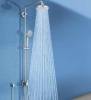 Душевая лейка Grohe Euphoria 27238000 фото 10
