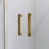 Душевой уголок Niagara Nova NG-6421-08 GOLD (120x80x190) фото 3