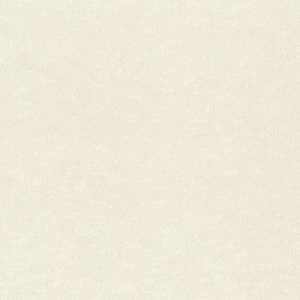 Обои виниловые Rasch Filigrano 964806