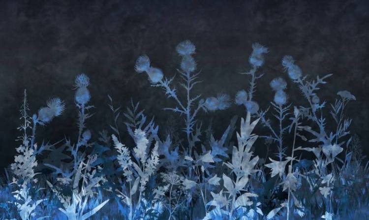 3D Фотообои Artegrafico «Полевая композиция в холодных тонах» HRB-016 акварель