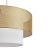 Подвесной светильник Freya Modern FR5528PL-01BS фото 4