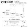 Подвесной светильник Citilux Espace CL243251 фото 16