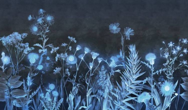 3D Фотообои Artegrafico «Бескрайнее поле в холодных тонах» HRB-008 песок