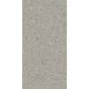 Керамогранит Kerama Marazzi Чеппо ди Гре DD591400R Серый Матовый Обрезной 119.5x238.5