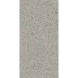 Керамогранит Kerama Marazzi Чеппо ди Гре DD591400R Серый Матовый Обрезной 119.5x238.5