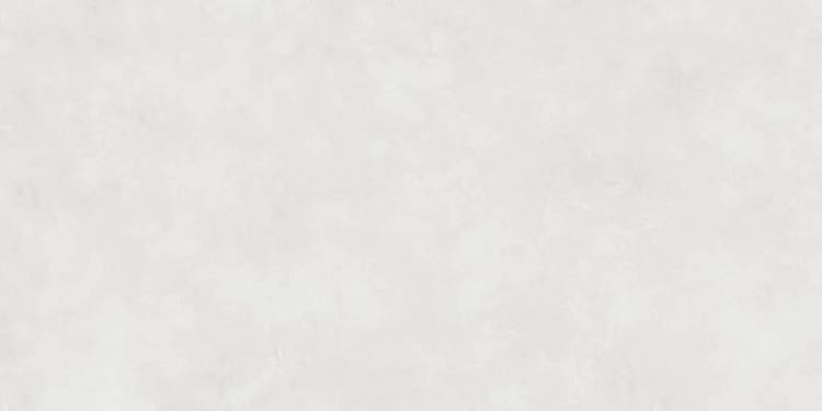 Керамогранит Alma Ceramica Mural GFU60120MUP07R Profi PEI 5 матовый 60x120