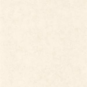 Обои Caselio Beton 101480010