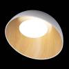 Потолочный светодиодный светильник Loft IT Egg 10197/500 White фото 5