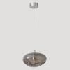 Подвесной светильник Crystal Lux FORMLESS SP1 SMOKE фото 2