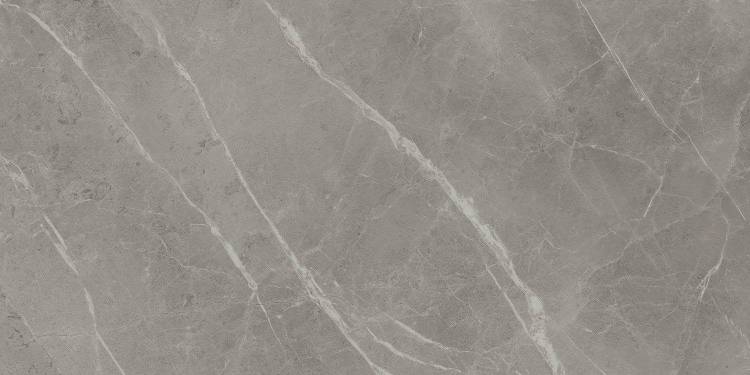 Керамогранит Atlas Concorde Marvel Pro A21M Grey Fleury Lapp. 60x120