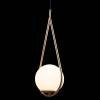 Подвесной светильник Loft IT Glob LOFT2599-A фото 3