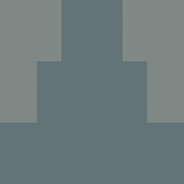 Керамогранит Fioranese Italian Landscape ILSI20D Siena D 20.5x20.5