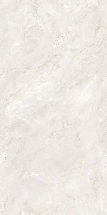 Керамогранит Arcadia Ceramica Delroy CZ-RT02-B Dove RT 80x160