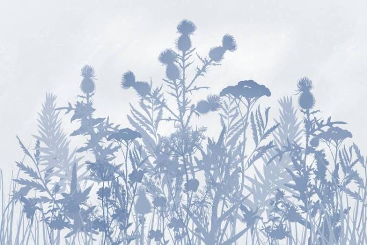 3D Фотообои Artegrafico «Светлые полевые растения в холодных тонах» HRB-060 канвас