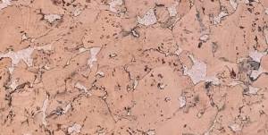 Пробковое покрытие IberCork Лерида роз 600x300x3
