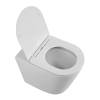 Унитаз приставной BelBagno Flay-r BB1003CBR/SC, с сиденьем фото 2