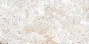 Керамогранит Absolut Gres Breccia Natural AB 1132G gloss 1200x600