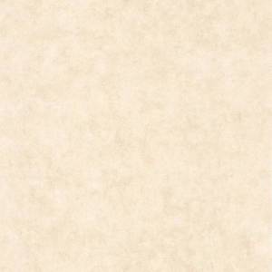 Обои Caselio Beton 2 101481123