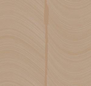 Обои флизелиновые Loymina Equilibre BR4 002/1