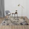 Ковер Aster AA630A Beige/Blue 2x3 м фото 6