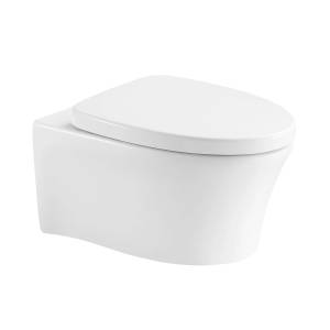 Унитаз подвесной Arrow AHB2106H + PG006-ZPA безободковый, с крышкой-сиденьем микролифт