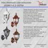 Настенный фонарь Reluce 00867-0.2-001W ACP фото 2