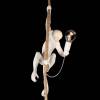 Подвесной светильник Loft IT Monkey 10314P фото 2