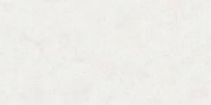 Керамогранит Buono Ceramica Emma EVL4802M Fiore Base Matt 60x120