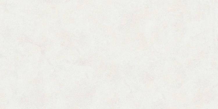 Керамогранит Buono Ceramica Emma EVL4802M Fiore Base Matt 60x120