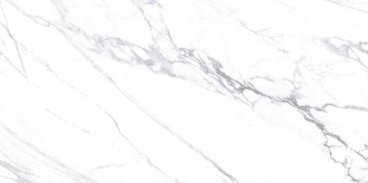 Керамическая плитка AltaCera Albion WT9LIM00 Lima Calacatta Глянцевая 24.9x50