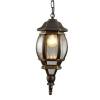 Уличный подвесной светильник Arte Lamp Atlanta A1045SO-1BN фото 4