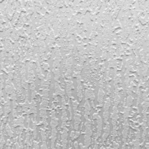 Обои виниловые Practic Vlies Band 1001-10