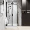 Душевая кабина Niagara Standart ST90/15QR/KL/BKT 900х900х2150, профиль черный матовый, правая, 3 места фото 5