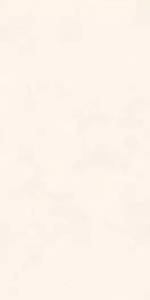 Керамическая плитка Azori Orion 00-00109734 Light 31.5x63