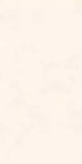 Керамическая плитка Azori Orion 00-00109734 Light 31.5x63