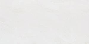 Керамогранит NT Ceramic Zeus ZS612NTT9701P 60x120