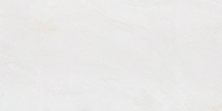 Керамогранит NT Ceramic Zeus ZS612NTT9701P 60x120