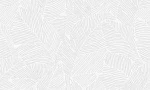 Керамическая плитка Gracia Ceramica Nature white 04 30x50