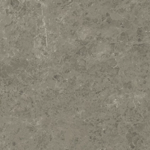 Керамогранит Atlas Concorde Marvel Meraviglia AJIF Grigio Elegante Lapp. 120x120