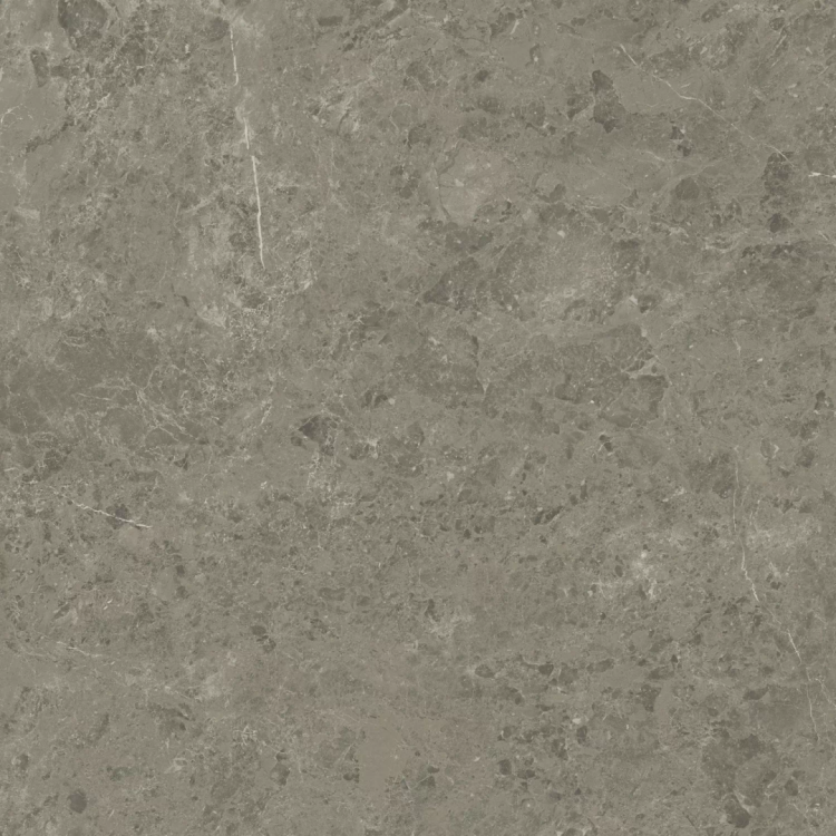 Керамогранит Atlas Concorde Marvel Meraviglia AJIF Grigio Elegante Lapp. 120x120