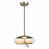 Подвесной светодиодный светильник ST Luce Ozzio SL6108.303.01 фото 3