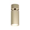 Накладной светильник Denkirs Tube DK2029-GG фото 3